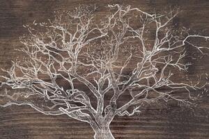 Obraz koruna stromu na dřevěném podkladu - 120x80 cm