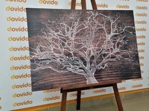 Obraz koruna stromu na dřevěném podkladu - 90x60 cm