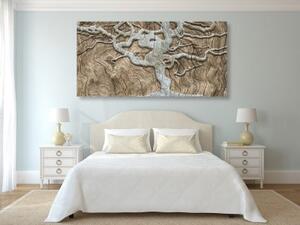 Obraz abstraktní strom na dřevě v béžovém provedení - 100x50 cm