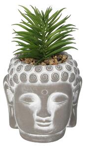 Dekorace Succulent I Buddha 17cm