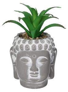 Dekorace Aloe Buddha 17cm