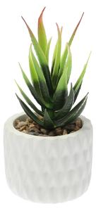 Dekorace Sansevieria 12cm