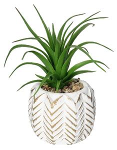 Dekorace Aloes II 14cm