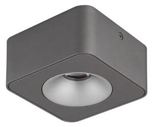GLOBO 43100-1 HANGARAU povrchové bodové svítidlo LED 6,5W/360lm 3000K tmavošedá, šedá