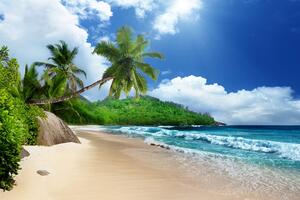 Fototapeta nádherná pláž na ostrově Seychely