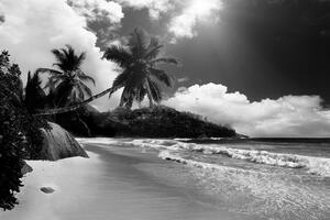 Fototapeta pláž na ostrově Seychely v černobílém