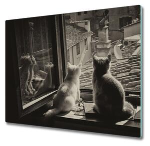 Skleněné deska do kuchyně Kočky u okna 60x52 cm