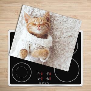 Skleněné deska do kuchyně Kitten v svetru 60x52 cm