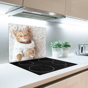 Skleněné deska do kuchyně Kitten v svetru 60x52 cm