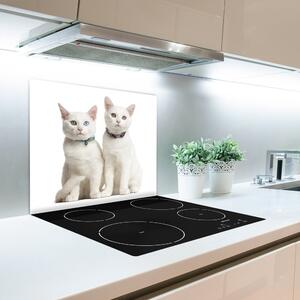 Skleněné deska do kuchyně Bílé kočky 60x52 cm