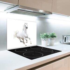 Skleněné deska do kuchyně Bílý arabský kůň 60x52 cm