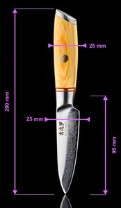 Gudaro - Damaškový kuchyňský nůž HIKARI 3,5", 67 vrstev oceli, délka 9,5 cm