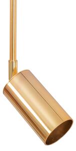Toolight, závěsné svítidlo APP610-1C, zlatá, OSW-06395