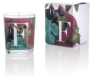 Pernici Elementi - Fig Leaves & Ivy Vonná svíčka, 70 g