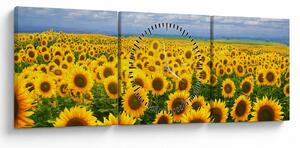 Obraz slunečnicového pole (s hodinami) (90x30 cm)