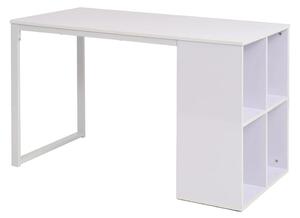 Psací stůl 120 x 60 x 75 cm bílý 245721