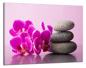 Obraz na plátně Orchidej a zen kameny