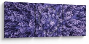 Obraz zasněžených stromů (s hodinami) (90x30 cm)