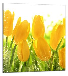 Obraz do bytu Žluté tulipány