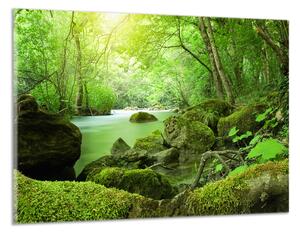 Obraz na zeď Zelený les a řeka