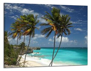 Obraz do bytu Pláž na Barbadosu