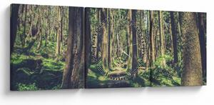 Obraz cesty mezi stromy (s hodinami) (90x30 cm)