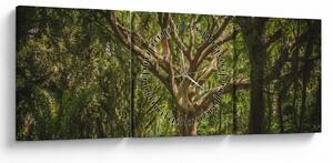 Obraz stromu (s hodinami) (90x30 cm)