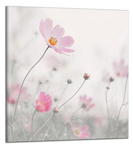 Obraz na plátně Růžové květy na louce