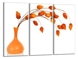 Obraz na plátně Oranžová váza