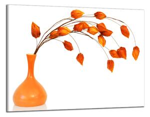 Obraz na plátně Oranžová váza