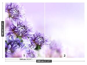 Fototapeta Fialové květy 104x70