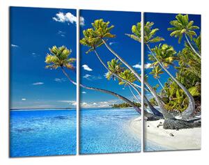 Obraz na plátně Obraz na stěnu Pláž a palmy