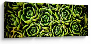 Obraz netřesků (s hodinami) (90x30 cm)