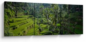 Obraz rýžových teras Tegalalang, Bali (s hodinami) (90x30 cm)
