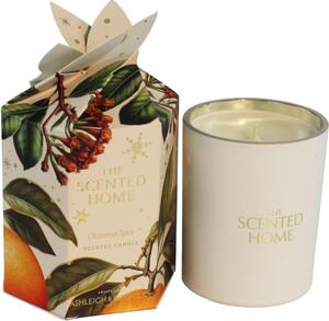 Ashleigh & Burwood London The Scented Home Christmas Spice vonná svíčka 170 g