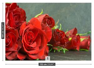 Fototapeta Červené růže 104x70