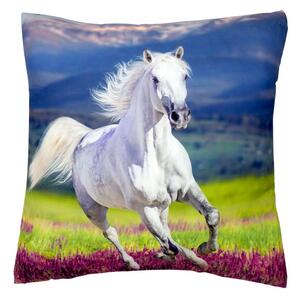 Jerry Fabrics Dětský polštářek s potiskem - Kůň 02 | 40 x 40 cm