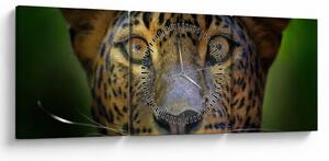Obraz - Portrét leoparda, Sri Lanka (s hodinami) (90x30 cm)