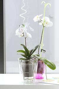 Prosperplast Květináč na orchidej COUBI ORCHID fialový transp. 13 cm