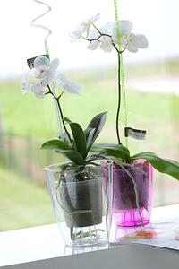 Prosperplast Květináč na orchidej COUBI ORCHID fialový transp. 13 cm
