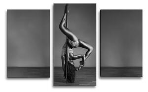 Sablio Obraz - 3-dílný Pole dancer - 75x50 cm