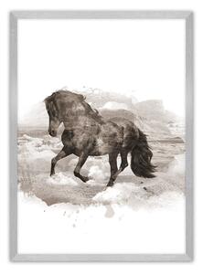 Plakát Horse