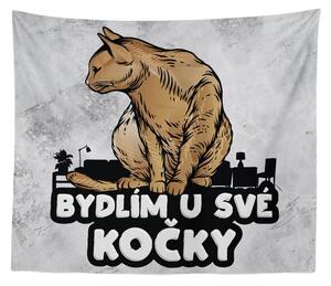 Sablio Deka Bydlím u své kočky: 150x120 cm