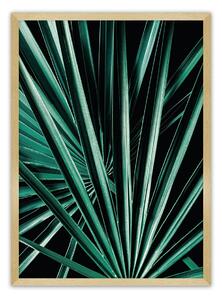 Plakát Dark Palm Tree