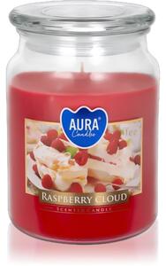 BISPOL Rospberry Cloud vonná svíčka 500 g