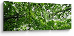 Obraz - Pohled do korun stromů (s hodinami) (90x30 cm)