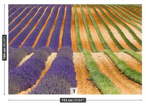 Fototapeta Provence Francie 104x70