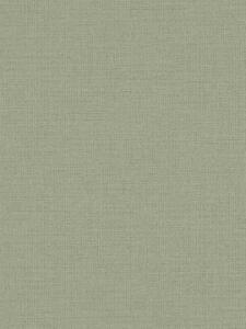 A.S. Création | Vliesová tapeta na zeď Vibes & Styles 79202-3 | 0,53 x 10,05 m | zelená