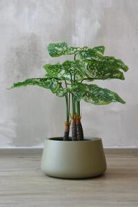 Květináč GORDO, sklolaminát, výška 21 cm, béžový