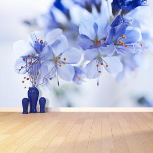 Fototapeta Modré květy 104x70